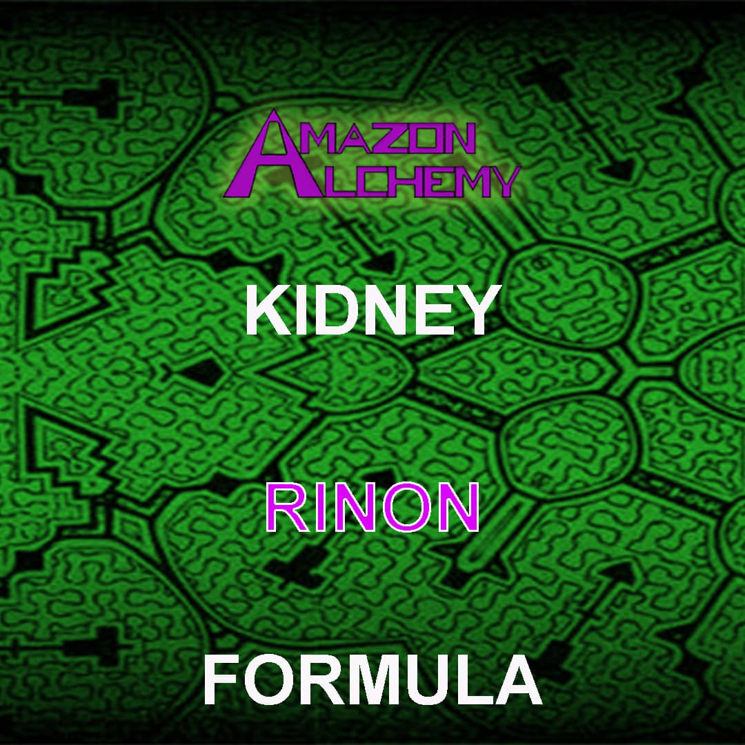 Both-Kidney